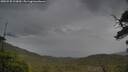 ./images/calvert/fitz-hugh-hecate/20250530/fitz-hugh-hecate20250530_113010M.jpg