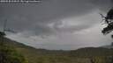 ./images/calvert/fitz-hugh-hecate/20250530/fitz-hugh-hecate20250530_114508M.jpg
