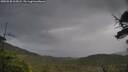 ./images/calvert/fitz-hugh-hecate/20250530/fitz-hugh-hecate20250530_115007M.jpg