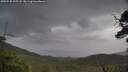 ./images/calvert/fitz-hugh-hecate/20250530/fitz-hugh-hecate20250530_115508M.jpg