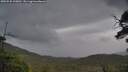 ./images/calvert/fitz-hugh-hecate/20250530/fitz-hugh-hecate20250530_120011M.jpg