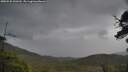 ./images/calvert/fitz-hugh-hecate/20250530/fitz-hugh-hecate20250530_120509M.jpg