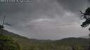./images/calvert/fitz-hugh-hecate/20250530/fitz-hugh-hecate20250530_121010M.jpg