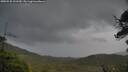 ./images/calvert/fitz-hugh-hecate/20250530/fitz-hugh-hecate20250530_121510M.jpg
