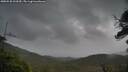 ./images/calvert/fitz-hugh-hecate/20250530/fitz-hugh-hecate20250530_123510M.jpg