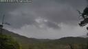 ./images/calvert/fitz-hugh-hecate/20250530/fitz-hugh-hecate20250530_124008M.jpg