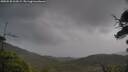 ./images/calvert/fitz-hugh-hecate/20250530/fitz-hugh-hecate20250530_124508M.jpg