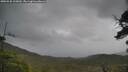 ./images/calvert/fitz-hugh-hecate/20250530/fitz-hugh-hecate20250530_125010M.jpg
