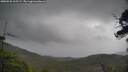 ./images/calvert/fitz-hugh-hecate/20250530/fitz-hugh-hecate20250530_125509M.jpg