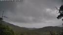 ./images/calvert/fitz-hugh-hecate/20250530/fitz-hugh-hecate20250530_131508M.jpg