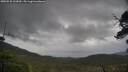 ./images/calvert/fitz-hugh-hecate/20250530/fitz-hugh-hecate20250530_133010M.jpg