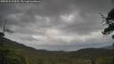 ./images/calvert/fitz-hugh-hecate/20250530/fitz-hugh-hecate20250530_133509M.jpg