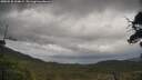 ./images/calvert/fitz-hugh-hecate/20250530/fitz-hugh-hecate20250530_134009M.jpg