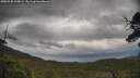 ./images/calvert/fitz-hugh-hecate/20250530/fitz-hugh-hecate20250530_135009M.jpg