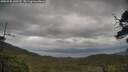 ./images/calvert/fitz-hugh-hecate/20250530/fitz-hugh-hecate20250530_140509M.jpg