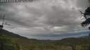 ./images/calvert/fitz-hugh-hecate/20250530/fitz-hugh-hecate20250530_141510M.jpg