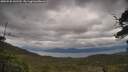 ./images/calvert/fitz-hugh-hecate/20250530/fitz-hugh-hecate20250530_142510M.jpg