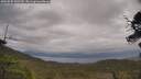 ./images/calvert/fitz-hugh-hecate/20250530/fitz-hugh-hecate20250530_143510M.jpg
