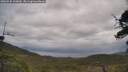 ./images/calvert/fitz-hugh-hecate/20250530/fitz-hugh-hecate20250530_144010M.jpg