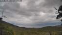 ./images/calvert/fitz-hugh-hecate/20250530/fitz-hugh-hecate20250530_144510M.jpg