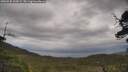 ./images/calvert/fitz-hugh-hecate/20250530/fitz-hugh-hecate20250530_145009M.jpg