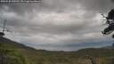 ./images/calvert/fitz-hugh-hecate/20250530/fitz-hugh-hecate20250530_145509M.jpg