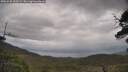 ./images/calvert/fitz-hugh-hecate/20250530/fitz-hugh-hecate20250530_150508M.jpg