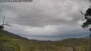 ./images/calvert/fitz-hugh-hecate/20250530/fitz-hugh-hecate20250530_151008M.jpg