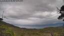 ./images/calvert/fitz-hugh-hecate/20250530/fitz-hugh-hecate20250530_151510M.jpg