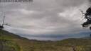 ./images/calvert/fitz-hugh-hecate/20250530/fitz-hugh-hecate20250530_152009M.jpg