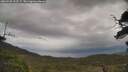 ./images/calvert/fitz-hugh-hecate/20250530/fitz-hugh-hecate20250530_152506M.jpg