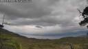 ./images/calvert/fitz-hugh-hecate/20250530/fitz-hugh-hecate20250530_153010M.jpg