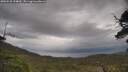 ./images/calvert/fitz-hugh-hecate/20250530/fitz-hugh-hecate20250530_154010M.jpg