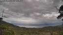 ./images/calvert/fitz-hugh-hecate/20250530/fitz-hugh-hecate20250530_155010M.jpg
