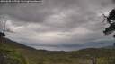 ./images/calvert/fitz-hugh-hecate/20250530/fitz-hugh-hecate20250530_155510M.jpg