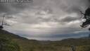 ./images/calvert/fitz-hugh-hecate/20250530/fitz-hugh-hecate20250530_160011M.jpg