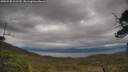 ./images/calvert/fitz-hugh-hecate/20250530/fitz-hugh-hecate20250530_161510M.jpg