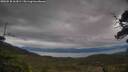 ./images/calvert/fitz-hugh-hecate/20250530/fitz-hugh-hecate20250530_163010M.jpg