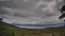 ./images/calvert/fitz-hugh-hecate/20250530/fitz-hugh-hecate20250530_163508M.jpg