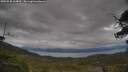 ./images/calvert/fitz-hugh-hecate/20250530/fitz-hugh-hecate20250530_164010M.jpg