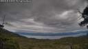 ./images/calvert/fitz-hugh-hecate/20250530/fitz-hugh-hecate20250530_164509M.jpg