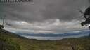 ./images/calvert/fitz-hugh-hecate/20250530/fitz-hugh-hecate20250530_165009M.jpg