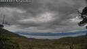 ./images/calvert/fitz-hugh-hecate/20250530/fitz-hugh-hecate20250530_165509M.jpg
