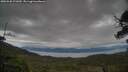 ./images/calvert/fitz-hugh-hecate/20250530/fitz-hugh-hecate20250530_171010M.jpg