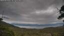 ./images/calvert/fitz-hugh-hecate/20250530/fitz-hugh-hecate20250530_171510M.jpg