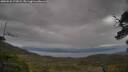 ./images/calvert/fitz-hugh-hecate/20250530/fitz-hugh-hecate20250530_172008M.jpg