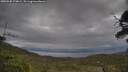 ./images/calvert/fitz-hugh-hecate/20250530/fitz-hugh-hecate20250530_174009M.jpg