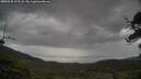 ./images/calvert/fitz-hugh-hecate/20250530/fitz-hugh-hecate20250530_175508M.jpg