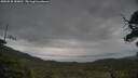 ./images/calvert/fitz-hugh-hecate/20250530/fitz-hugh-hecate20250530_180012M.jpg