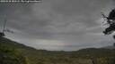 ./images/calvert/fitz-hugh-hecate/20250530/fitz-hugh-hecate20250530_180508M.jpg